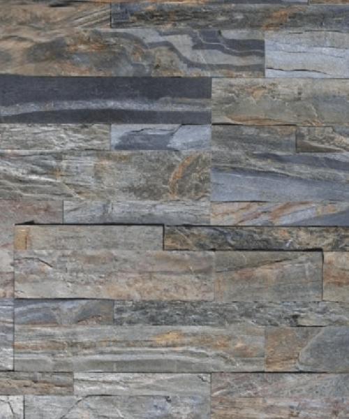 Amazon Forest (2) Amazon Forest (2)